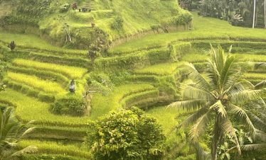 Bali Rondreis 10 Dagen