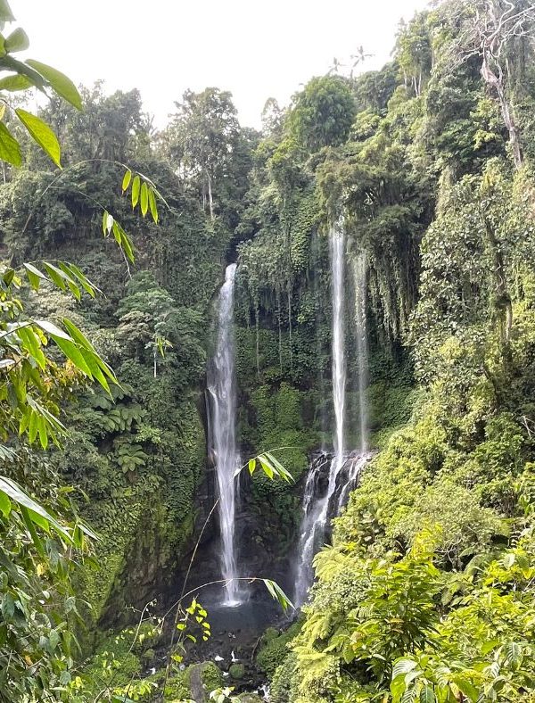 Bali Rondreis 3 Weken