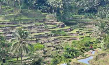Bali Rondreis 3 Weken