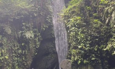 Waterval Tour Ubud